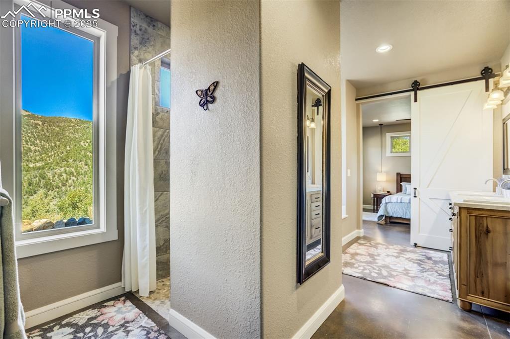 159 Mineshaft Place Cotopaxi CO 81223