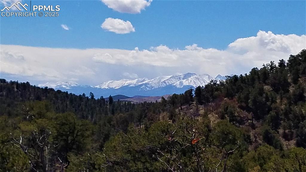 159 Mineshaft Place Cotopaxi CO 81223