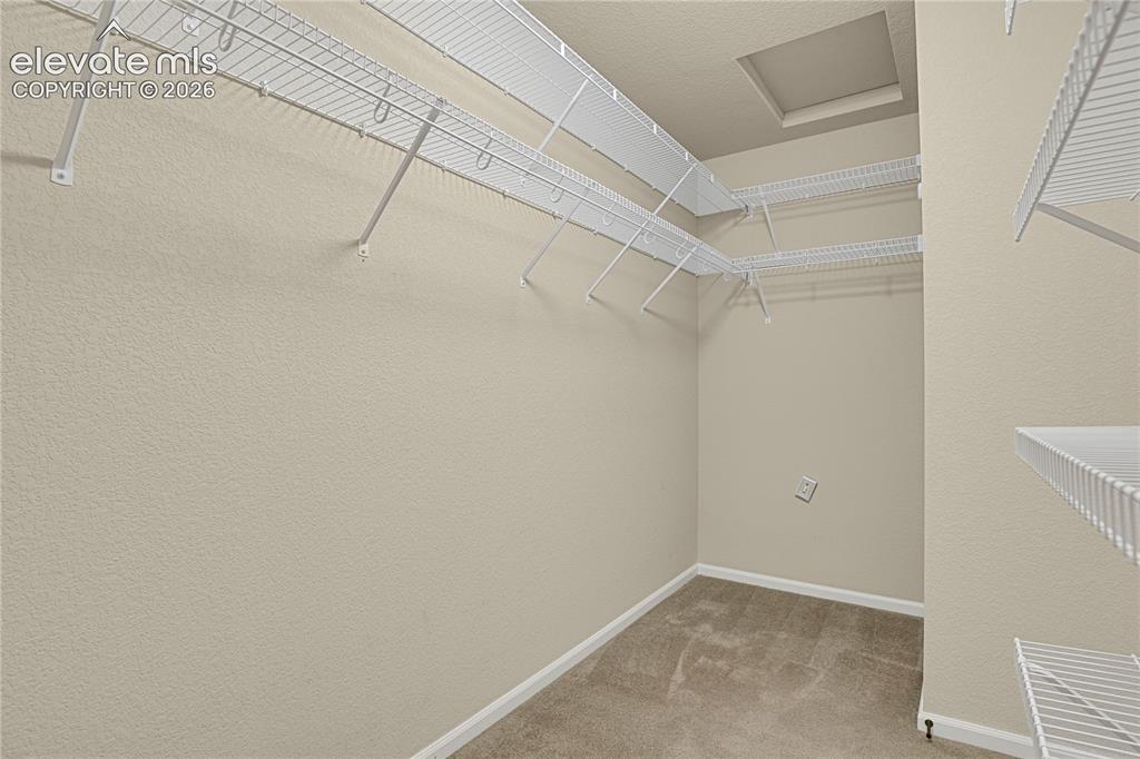 6651 Big Leaf Lane Colorado Springs CO 80927