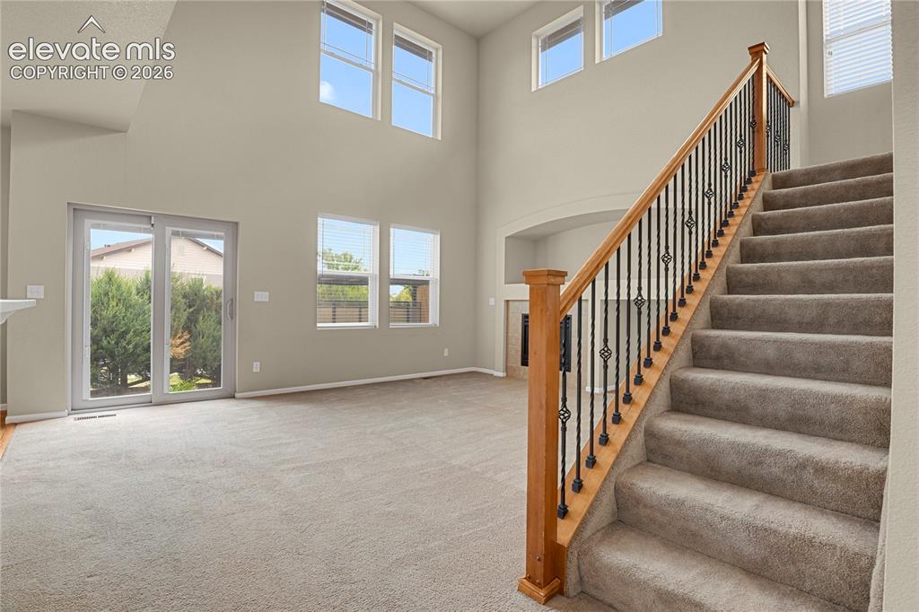 6651 Big Leaf Lane Colorado Springs CO 80927