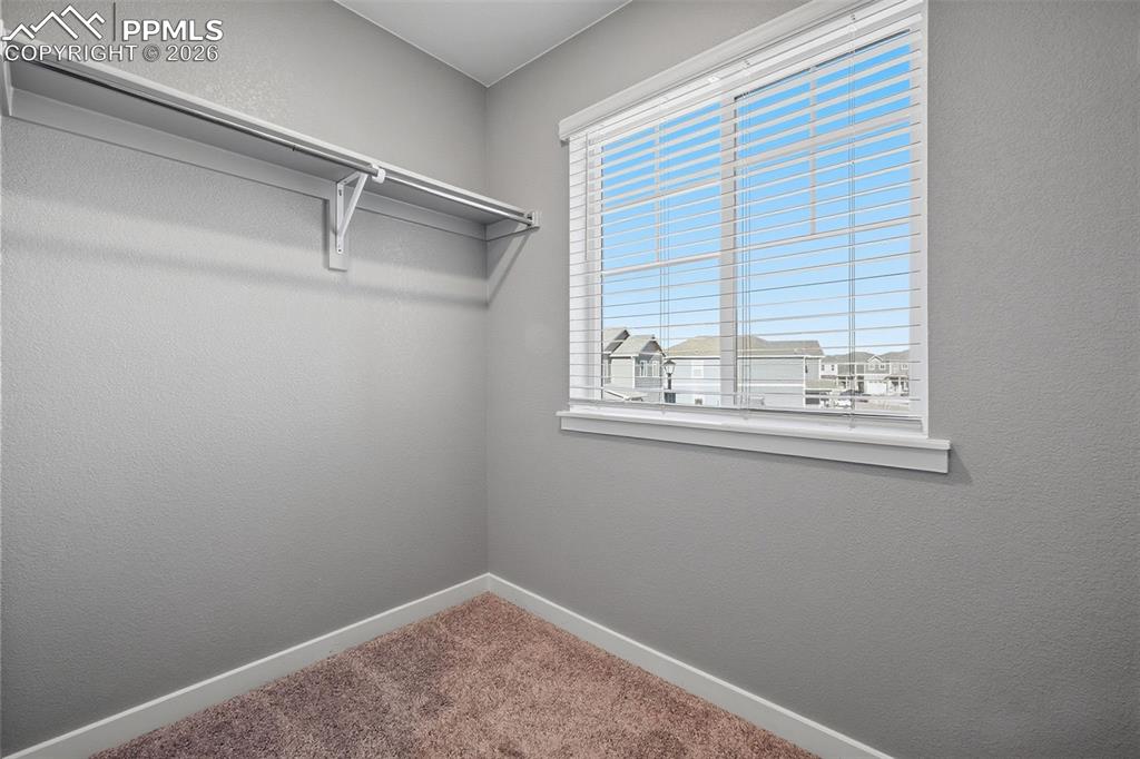 6994 Maidford Drive Colorado Springs CO 80925
