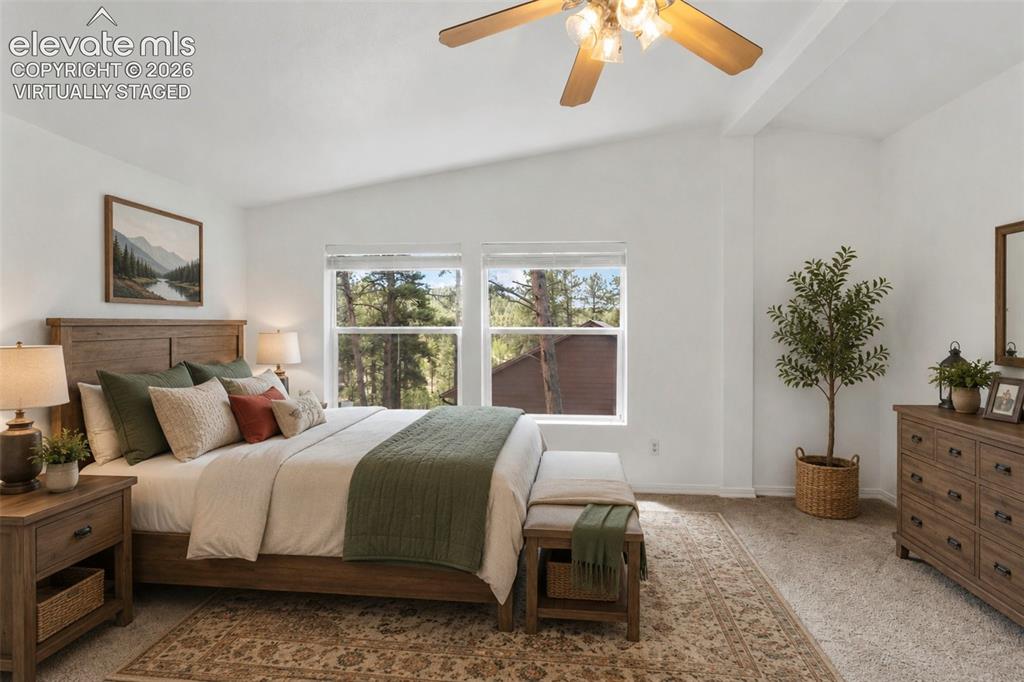 46 Kingston Circle Florissant CO 80816