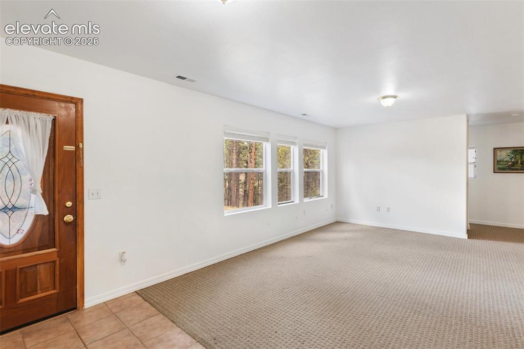 46 Kingston Circle Florissant CO 80816