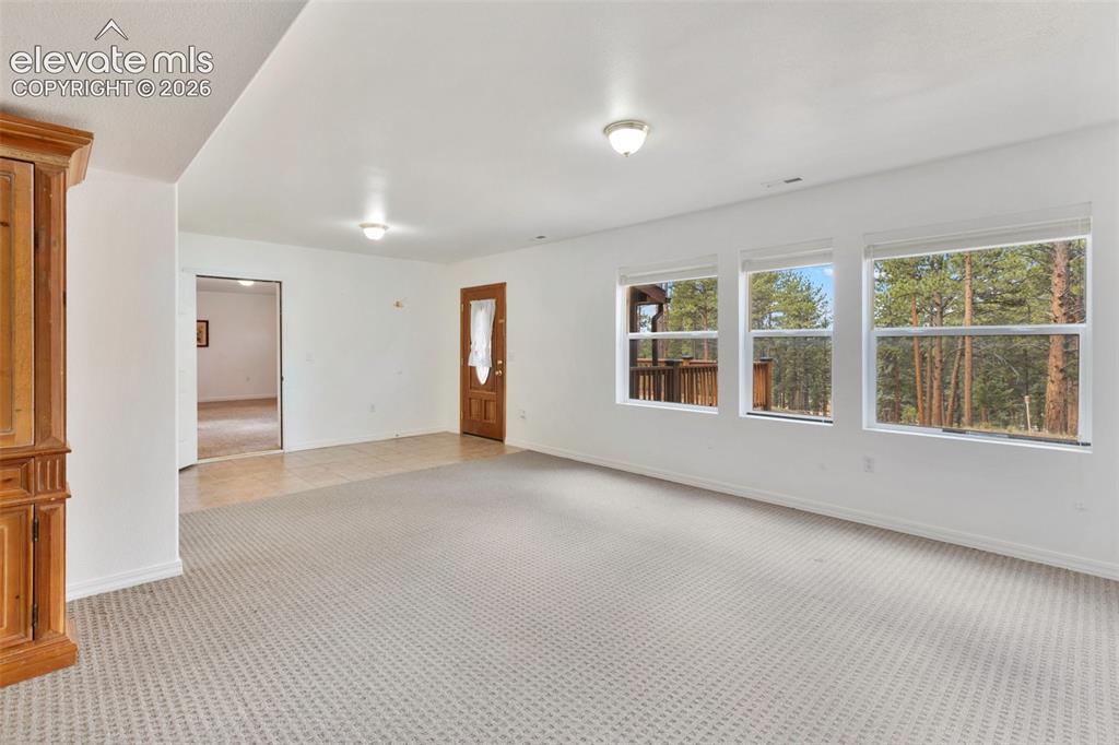46 Kingston Circle Florissant CO 80816