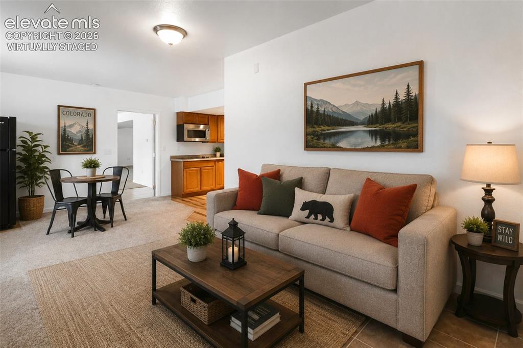 46 Kingston Circle Florissant CO 80816