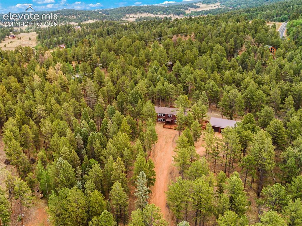 46 Kingston Circle Florissant CO 80816