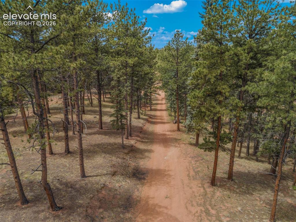 46 Kingston Circle Florissant CO 80816