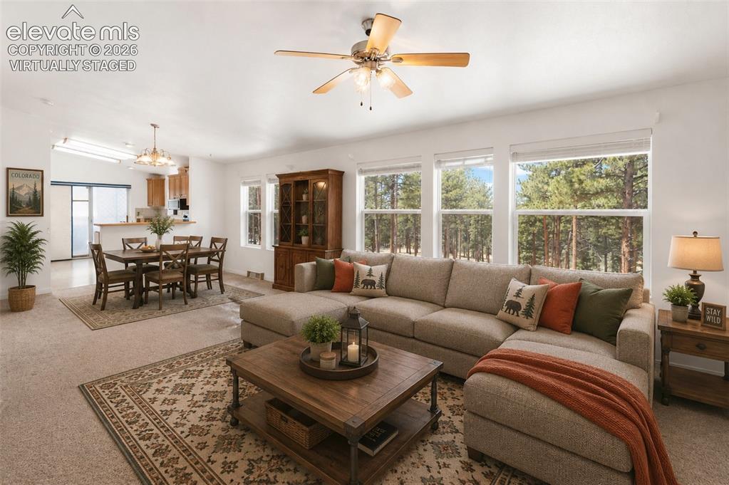46 Kingston Circle Florissant CO 80816