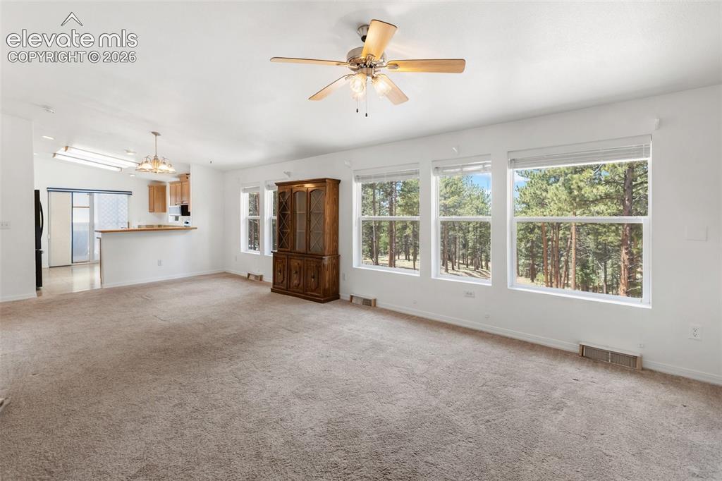 46 Kingston Circle Florissant CO 80816