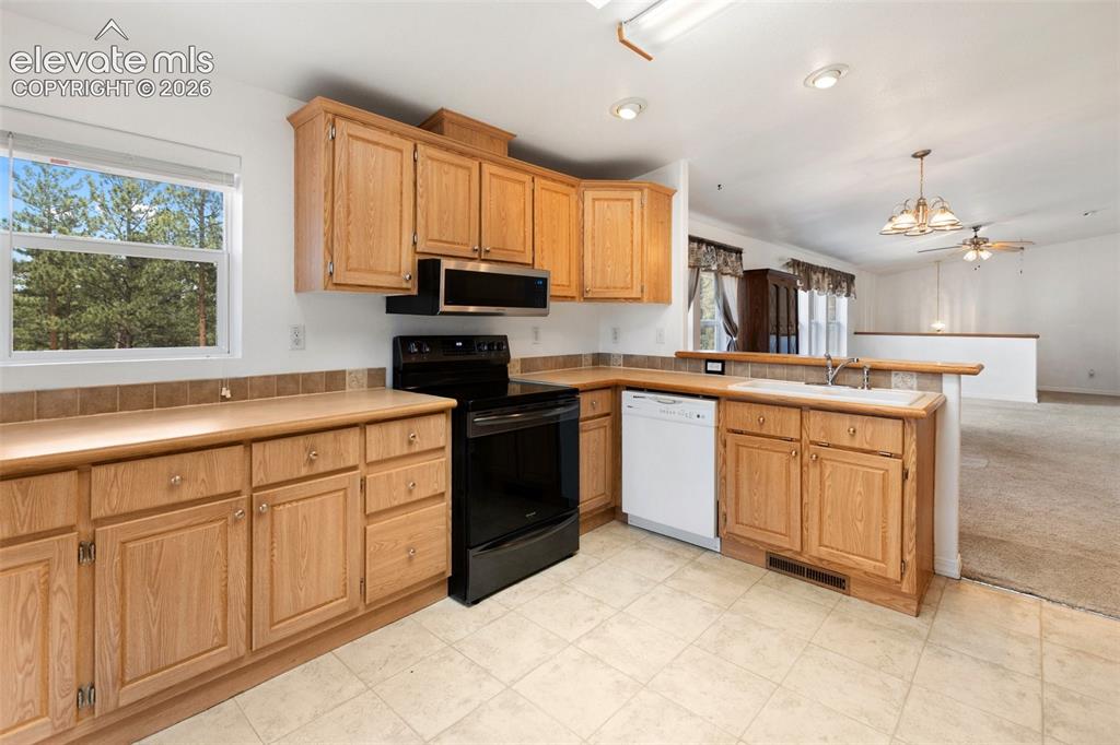 46 Kingston Circle Florissant CO 80816