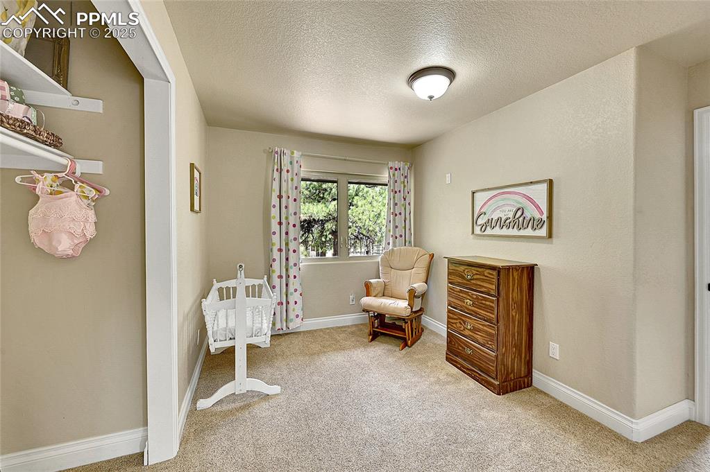 17350 Goshawk Road Colorado Springs CO 80908