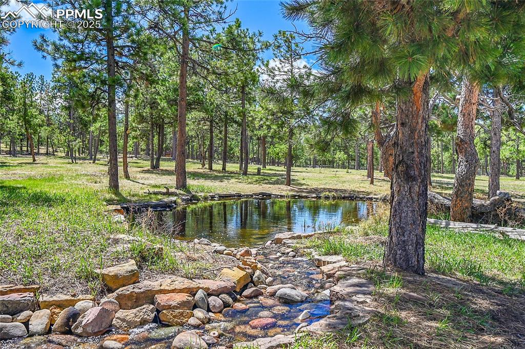 17350 Goshawk Road Colorado Springs CO 80908