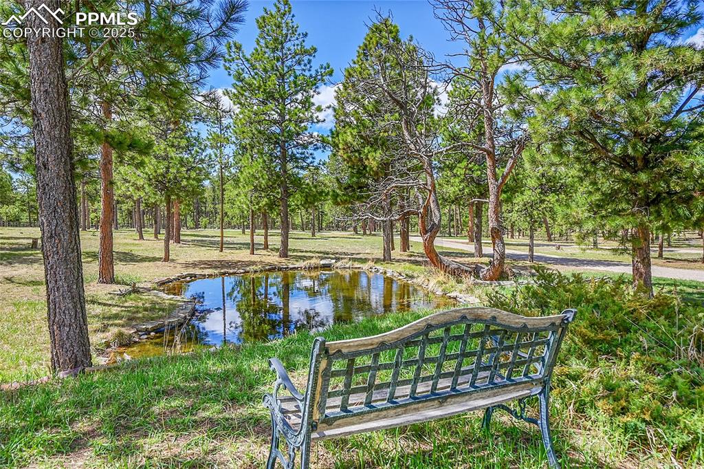 17350 Goshawk Road Colorado Springs CO 80908