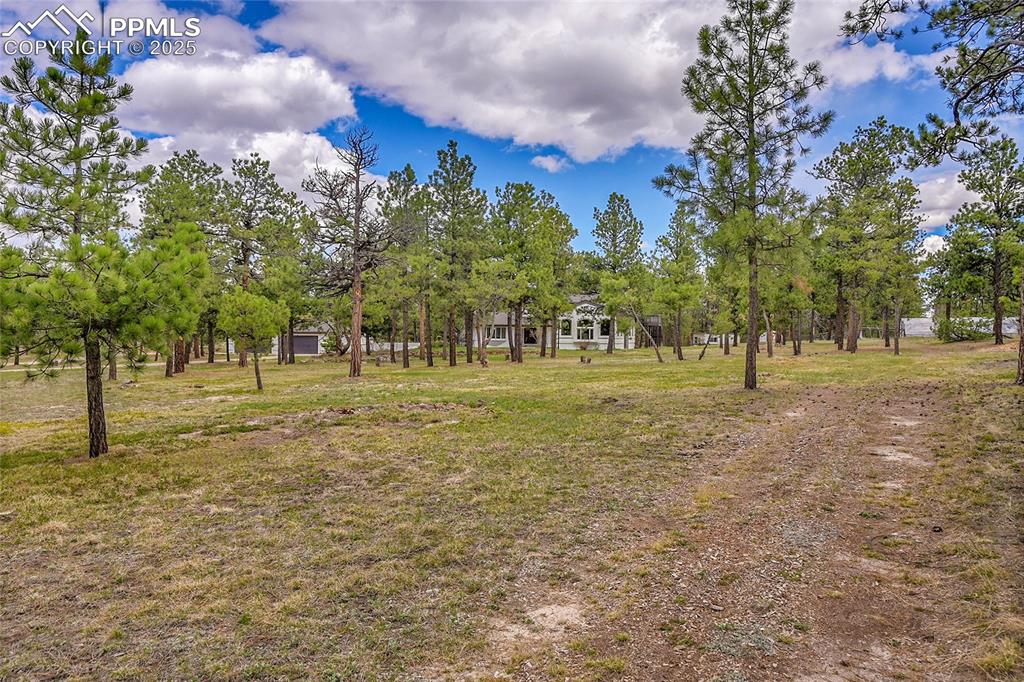 17350 Goshawk Road Colorado Springs CO 80908