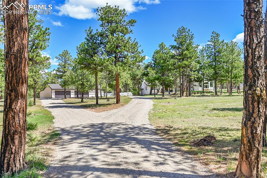 17350 Goshawk Road Colorado Springs CO 80908