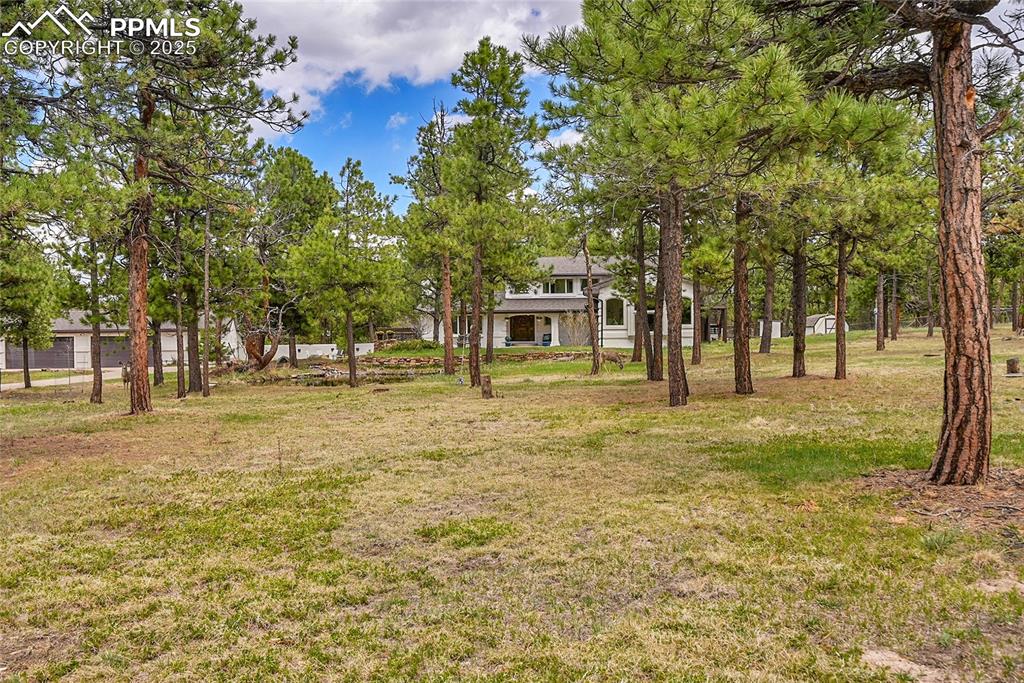 17350 Goshawk Road Colorado Springs CO 80908