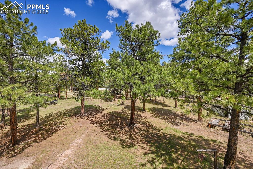 17350 Goshawk Road Colorado Springs CO 80908