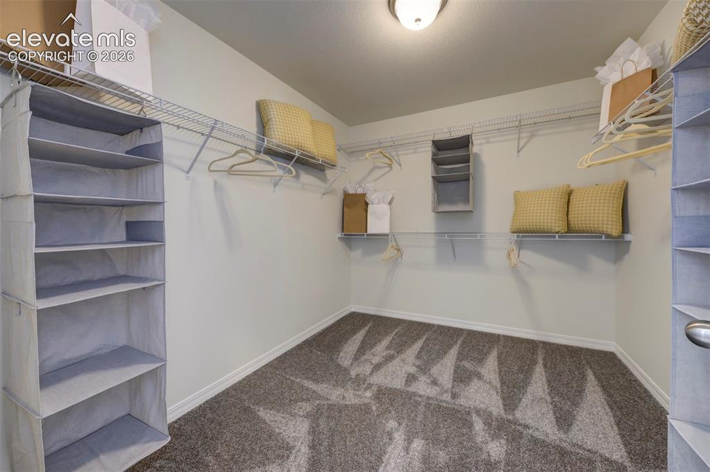 8230 Lemon Grass Road Falcon CO 80831