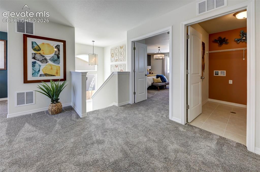 8230 Lemon Grass Road Falcon CO 80831