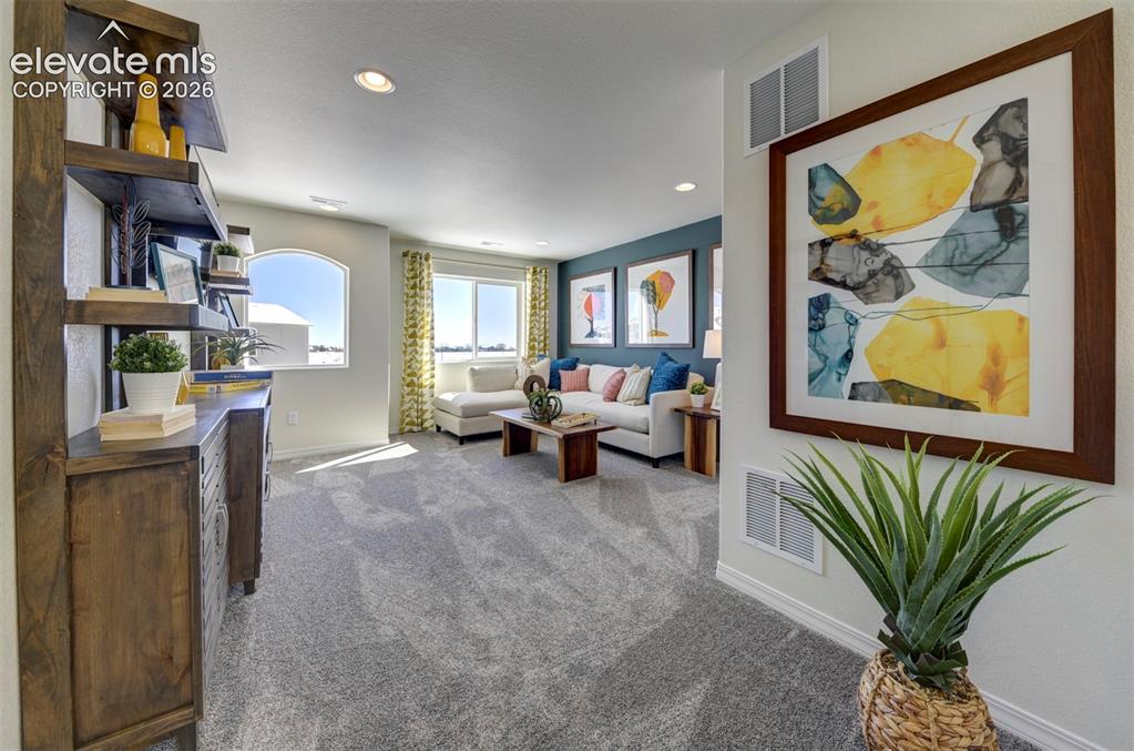 8230 Lemon Grass Road Falcon CO 80831