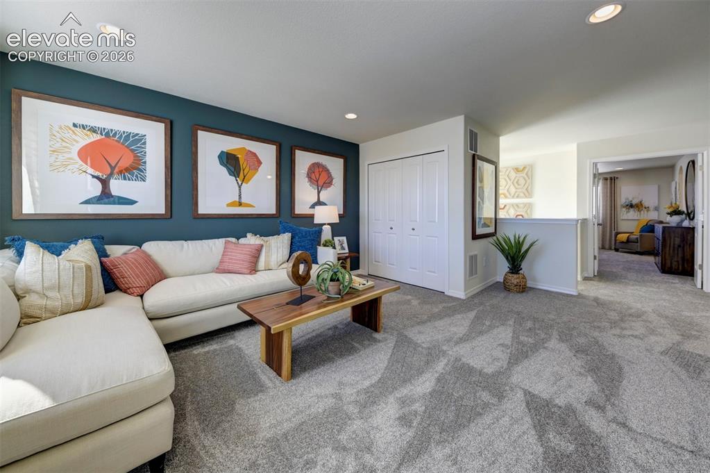 8230 Lemon Grass Road Falcon CO 80831