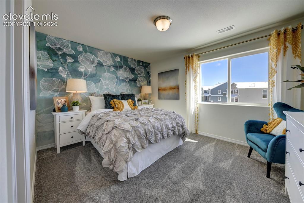 8230 Lemon Grass Road Falcon CO 80831