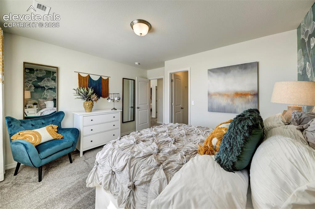 8230 Lemon Grass Road Falcon CO 80831