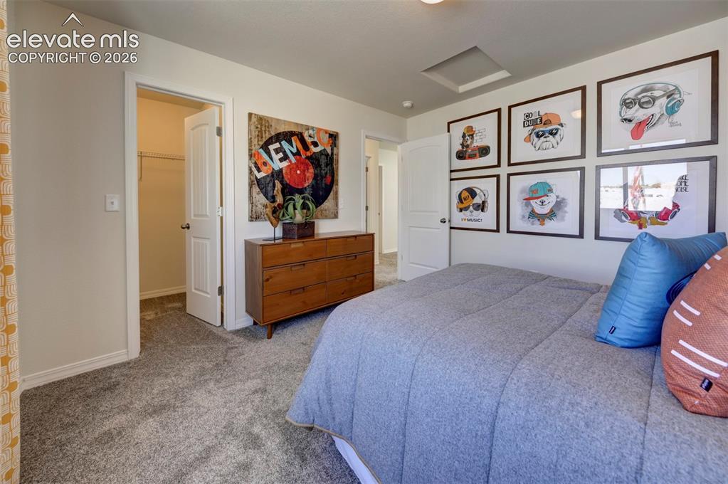 8230 Lemon Grass Road Falcon CO 80831