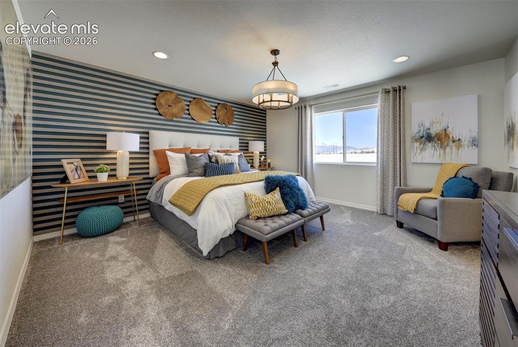 8230 Lemon Grass Road Falcon CO 80831