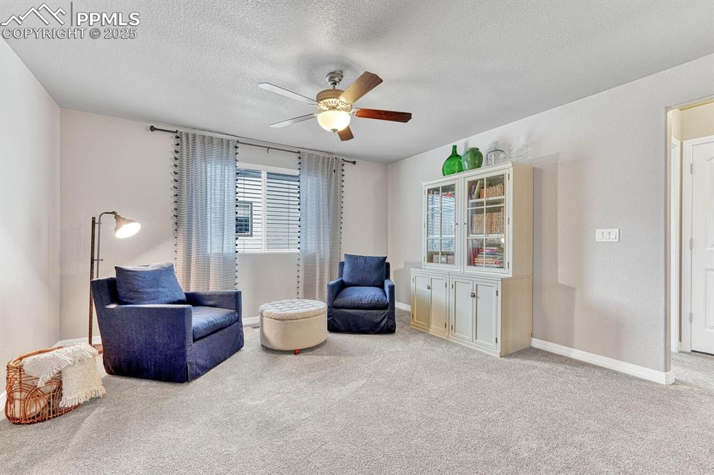 9190 Kathi Creek Drive Colorado Springs CO 80924