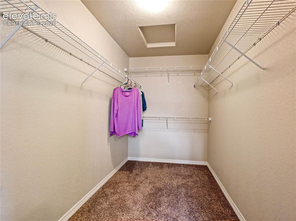 7494 Araia Drive Fountain CO 80817