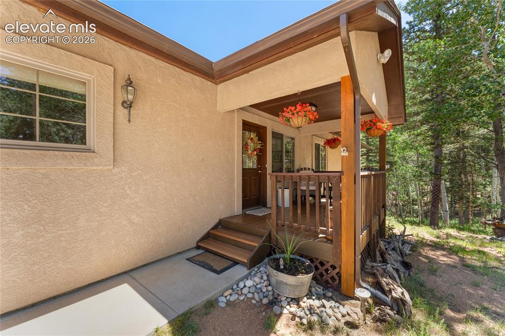 657 Spring Valley Drive Divide CO 80814