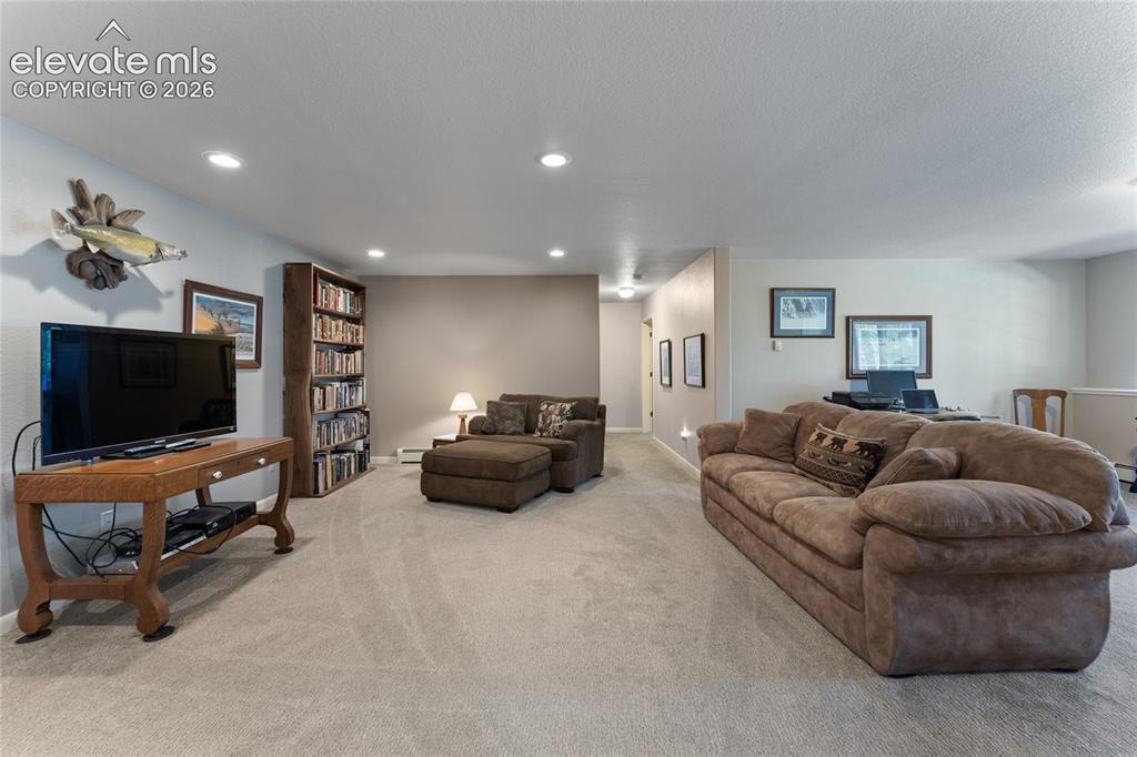 657 Spring Valley Drive Divide CO 80814