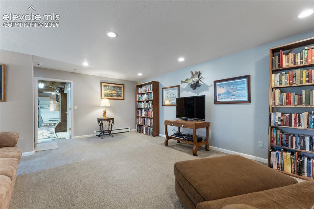 657 Spring Valley Drive Divide CO 80814