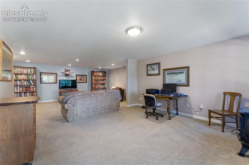 657 Spring Valley Drive Divide CO 80814