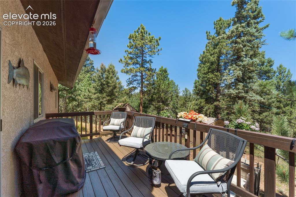 657 Spring Valley Drive Divide CO 80814