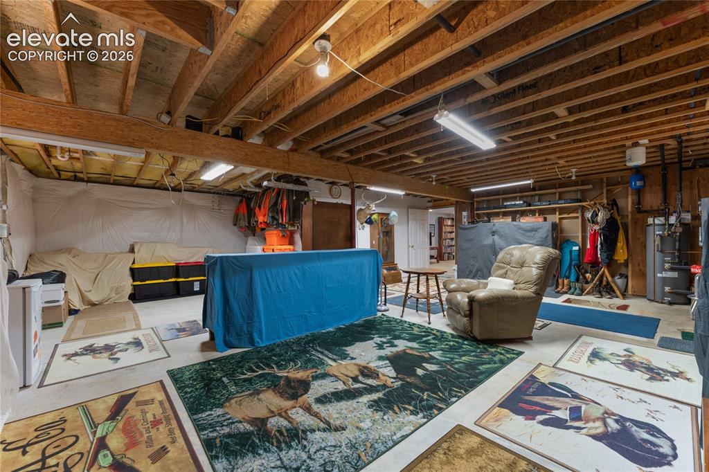 657 Spring Valley Drive Divide CO 80814