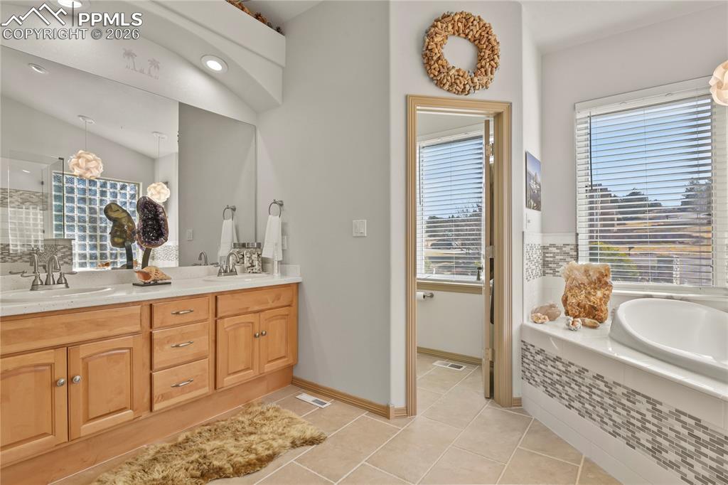 1009 Slate Way Monument CO 80132