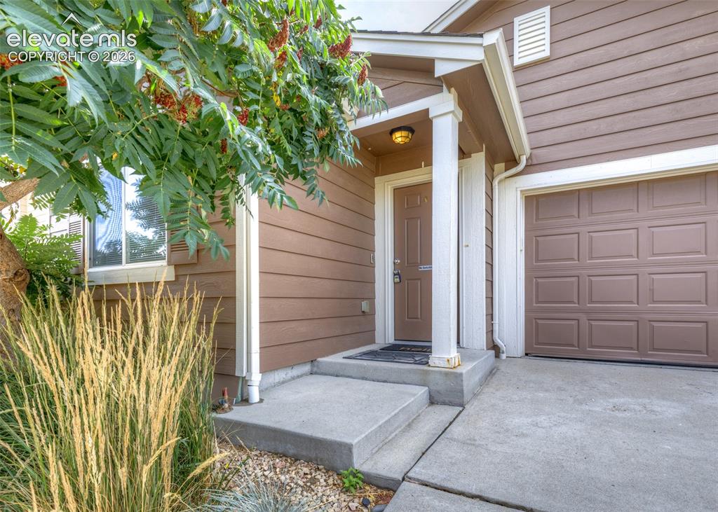 3840 Falconry Drive Colorado Springs CO 80922