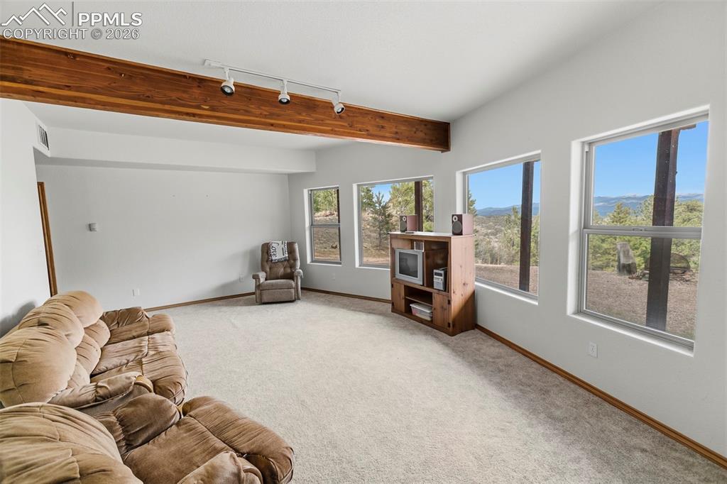 167 Wapiti Court Canon City CO 81212