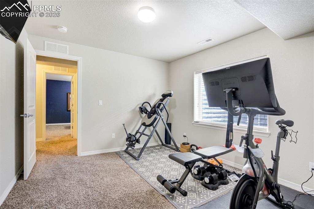 780 Tailings Drive Monument CO 80132