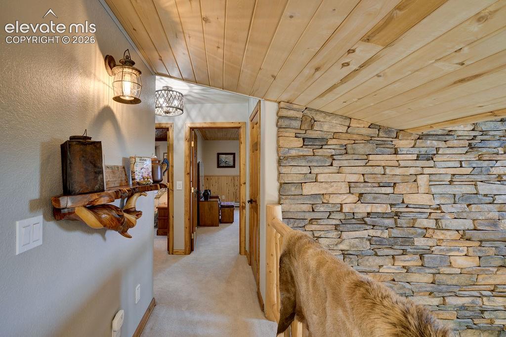 27100 County Road 342 Buena Vista CO 81211