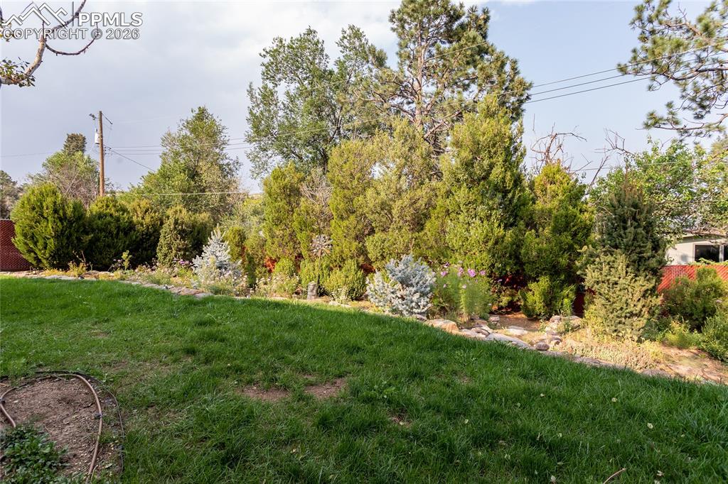 2419 Astron Drive Colorado Springs CO 80906