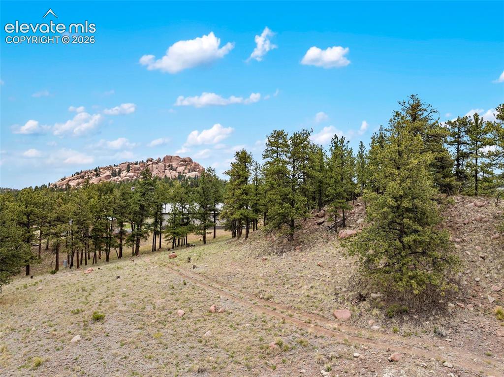 251 Surrey Lane Florissant CO 80816