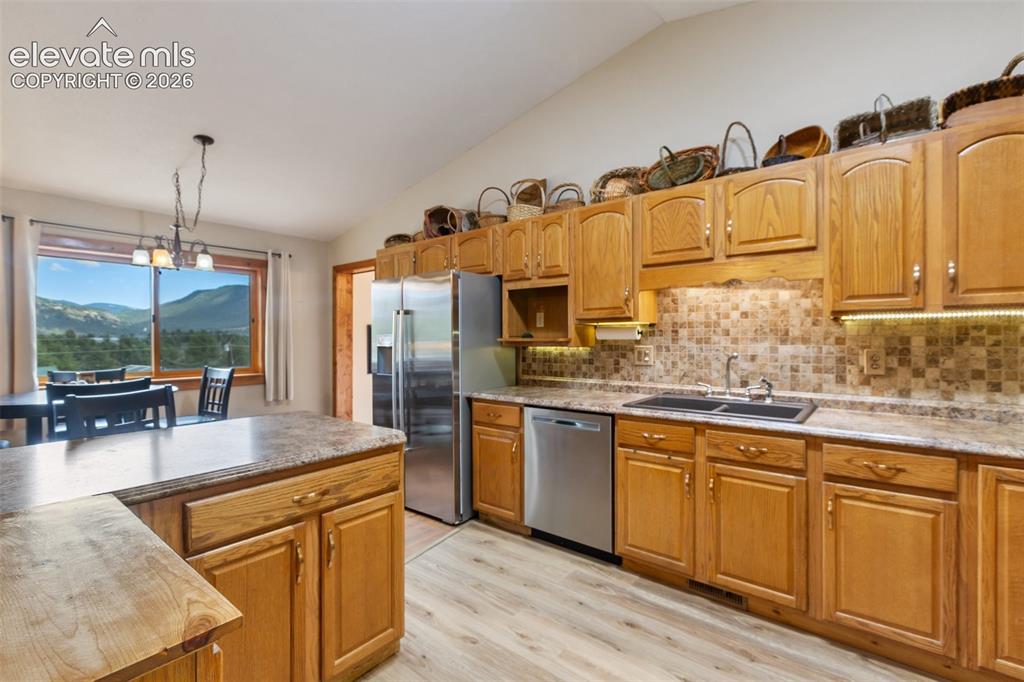 251 Surrey Lane Florissant CO 80816