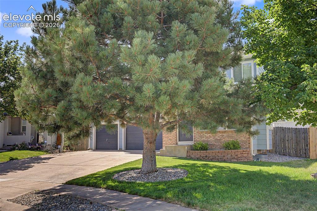 5407 Luster Drive Colorado Springs CO 80923