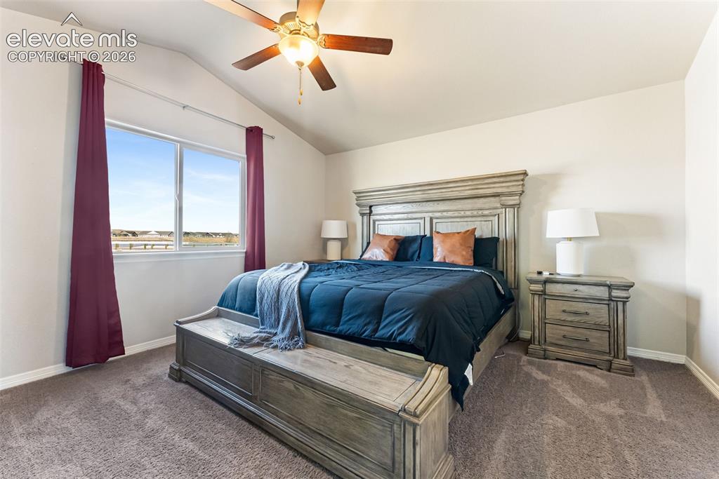 9948 Castor Drive Colorado Springs CO 80925