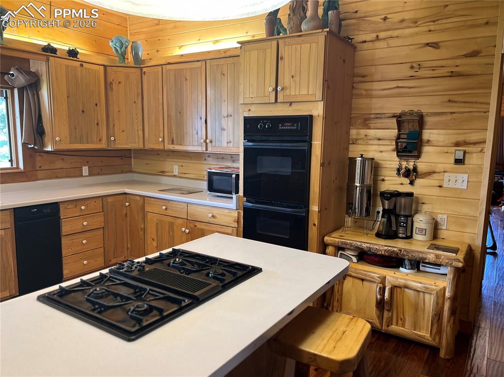 87 Thompson Road La Veta CO 81055