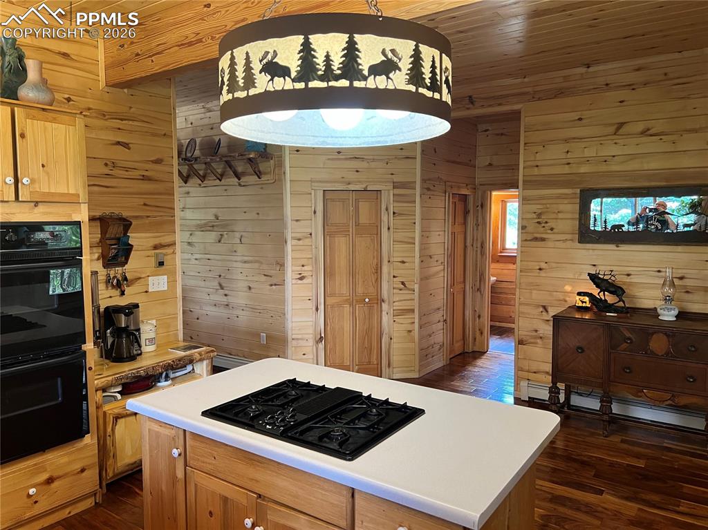 87 Thompson Road La Veta CO 81055