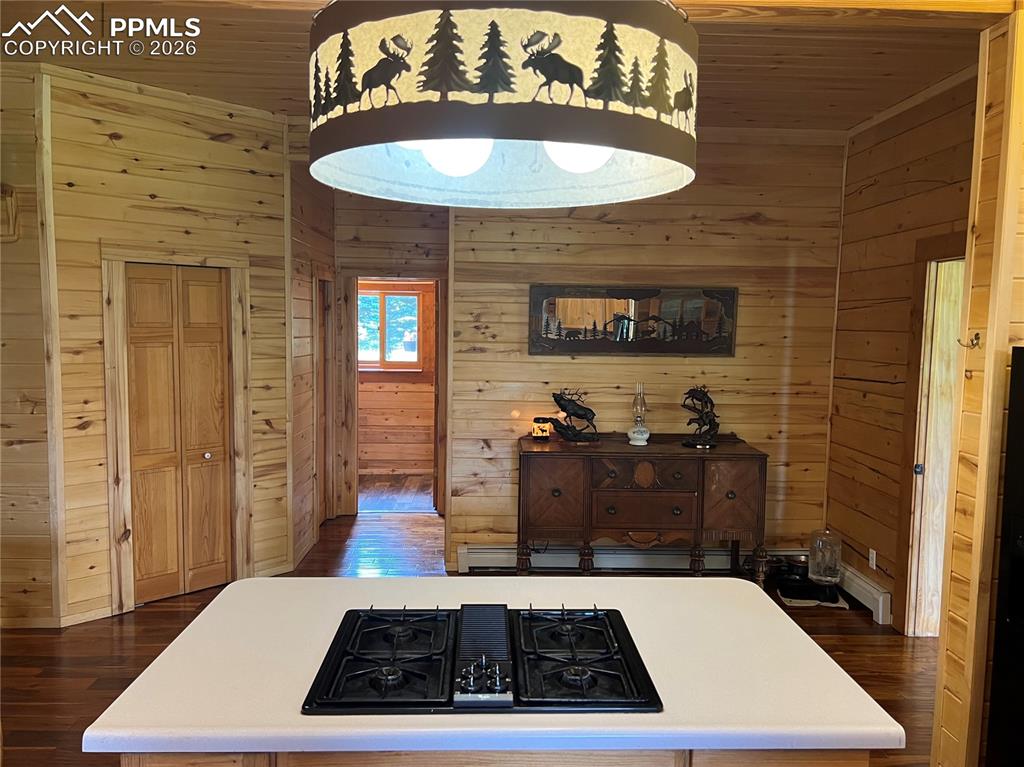 87 Thompson Road La Veta CO 81055